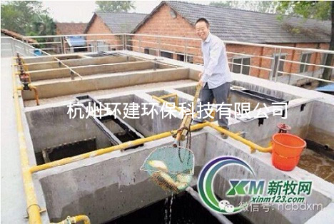浙江日報報道的邱建清養豬場廢水處理池養起了紅鯉魚