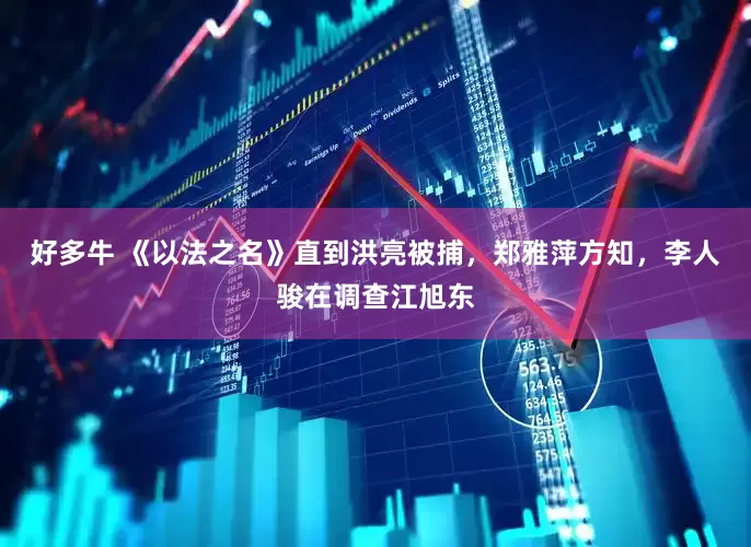 好多牛 《以法之名》直到洪亮被捕，郑雅萍方知，李人骏在调查江旭东