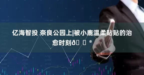 亿海智投 奈良公园上|被小鹿温柔贴贴的治愈时刻💮